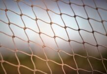 ¿Quién es Yan Couto? Trayectoria, edad, estadísticas y vida personal