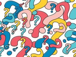 ¿Quién es Amourricho van Axel Dongen? Trayectoria, Estadísticas, Palmarés y Vida Personal