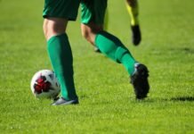 ¿Quién es Vicente Guaita? Trayectoria, edad, estadísticas y vida personal